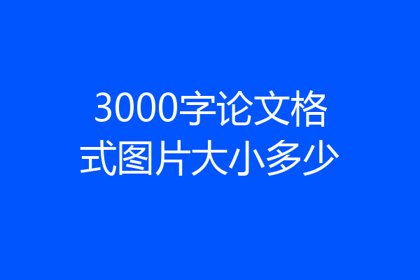 3000字论文格式图片大小多少