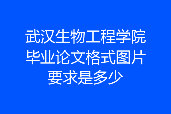 武汉生物工程学院毕业论文格式图片要求是多少