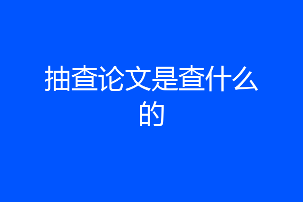 抽查论文是查什么的