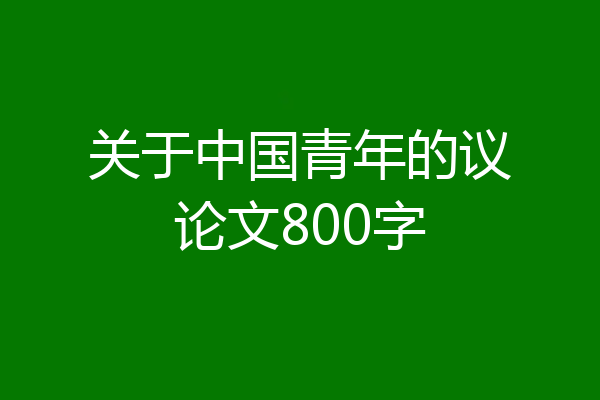 关于中国青年的议论文800字