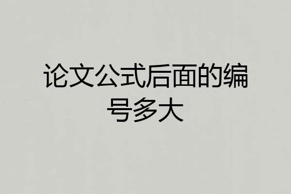 论文公式后面的编号多大