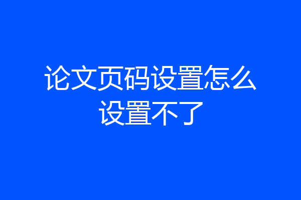 论文页码设置怎么设置不了