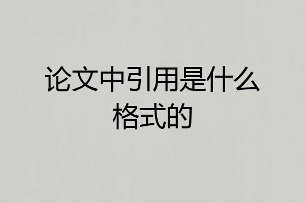 论文中引用是什么格式的
