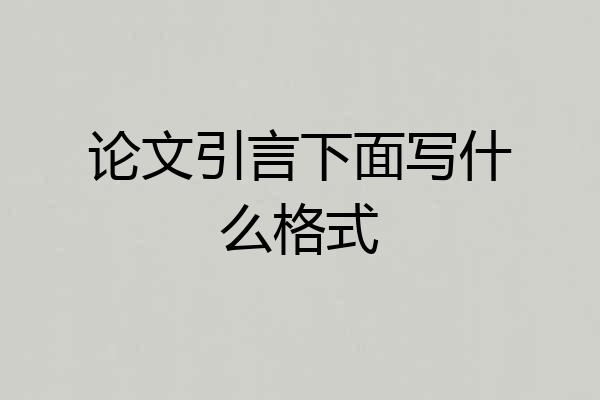 论文引言下面写什么格式