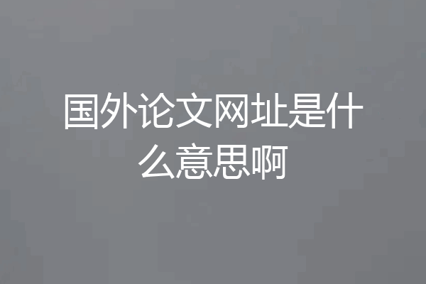国外论文网址是什么意思啊
