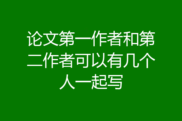 论文第一作者和第二作者可以有几个人一起写