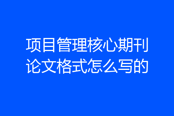 项目管理核心期刊论文格式怎么写的