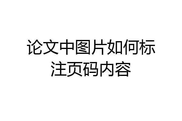 论文中图片如何标注页码内容