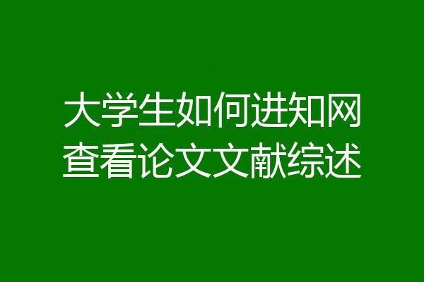 大学生如何进知网查看论文文献综述