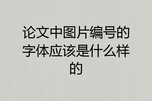 论文中图片编号的字体应该是什么样的