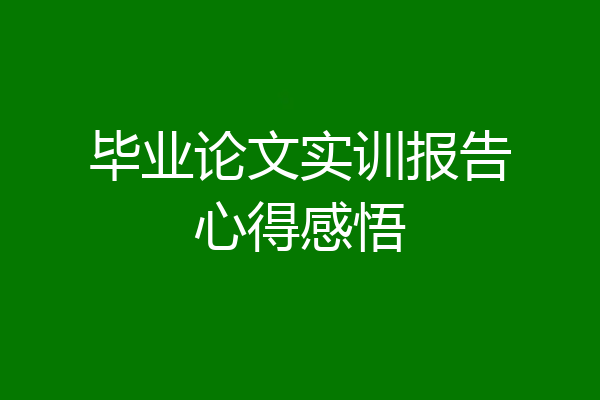 毕业论文实训报告心得感悟