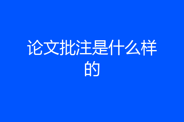 论文批注是什么样的