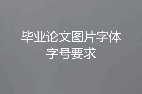 毕业论文图片字体字号要求