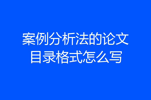 案例分析法的论文目录格式怎么写
