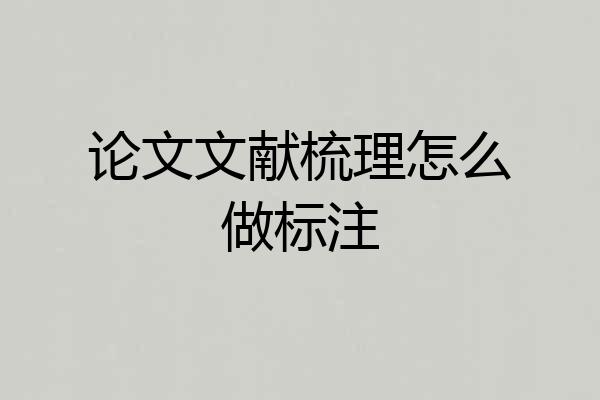 论文文献梳理怎么做标注