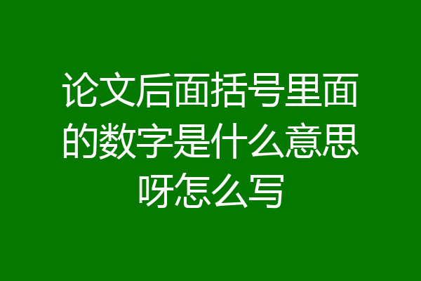 论文后面括号里面的数字是什么意思呀怎么写