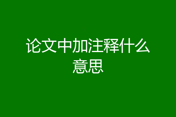 论文中加注释什么意思