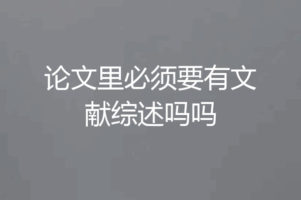 论文里必须要有文献综述吗吗