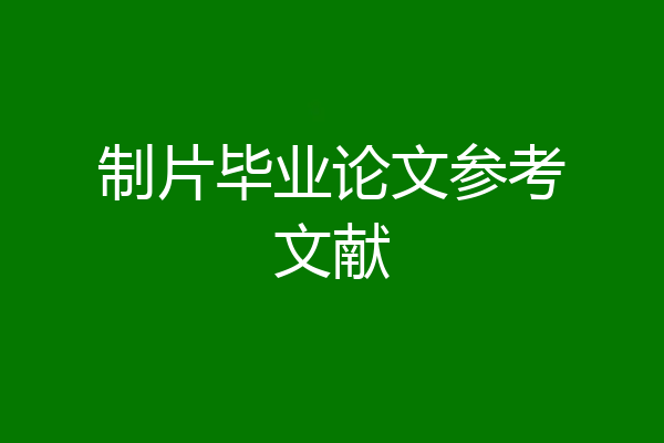 制片毕业论文参考文献