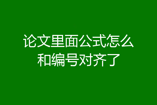 论文里面公式怎么和编号对齐了