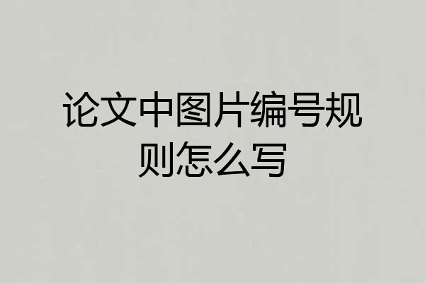 论文中图片编号规则怎么写