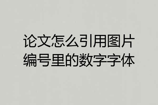 论文怎么引用图片编号里的数字字体