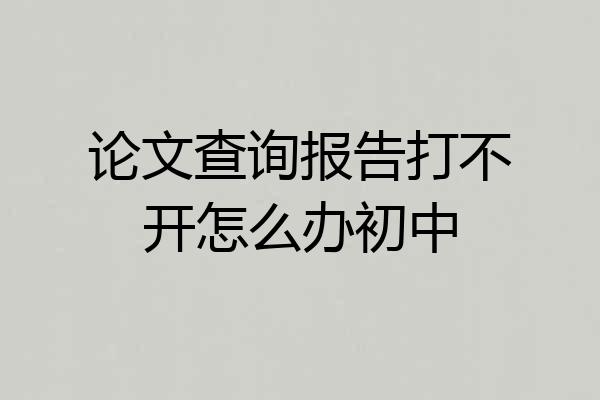 论文查询报告打不开怎么办初中