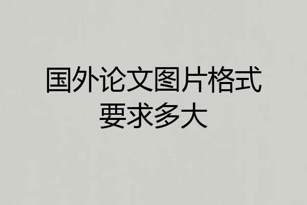 国外论文图片格式要求多大