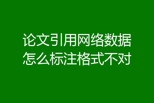 论文引用网络数据怎么标注格式不对