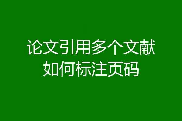 论文引用多个文献如何标注页码