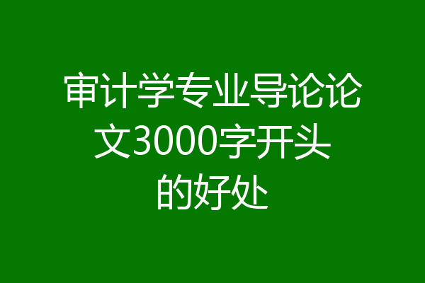 审计学专业导论论文3000字开头的好处