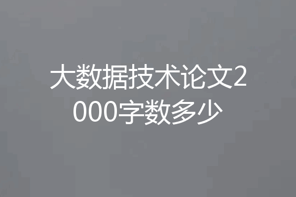 大数据技术论文2000字数多少