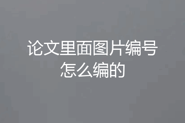 论文里面图片编号怎么编的