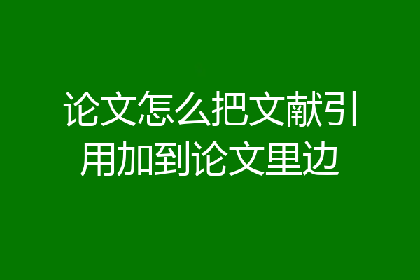 论文怎么把文献引用加到论文里边