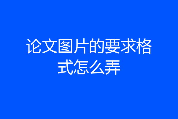 论文图片的要求格式怎么弄