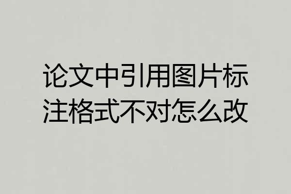 论文中引用图片标注格式不对怎么改