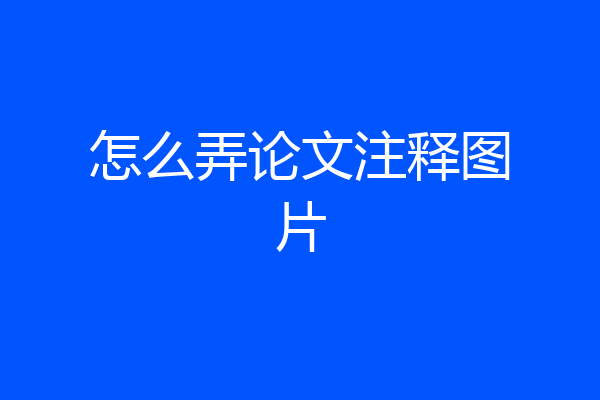 怎么弄论文注释图片