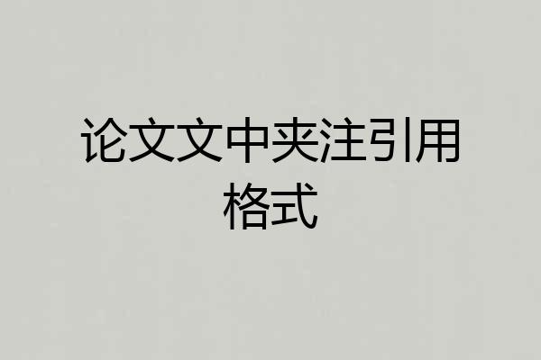 论文文中夹注引用格式