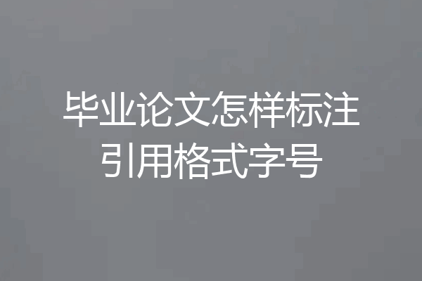 毕业论文怎样标注引用格式字号