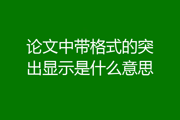 论文中带格式的突出显示是什么意思