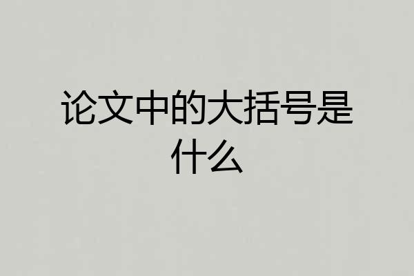 论文中的大括号是什么