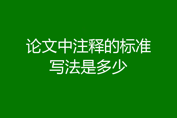 论文中注释的标准写法是多少