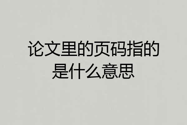 论文里的页码指的是什么意思