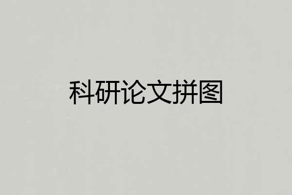 科研论文拼图