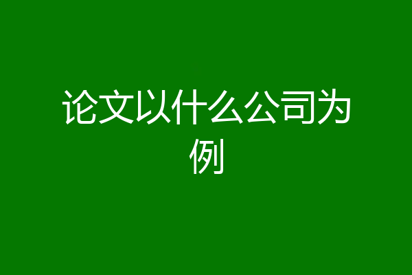 论文以什么公司为例