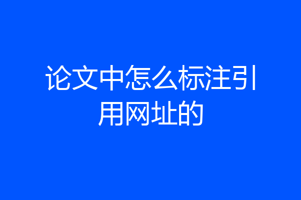 论文中怎么标注引用网址的