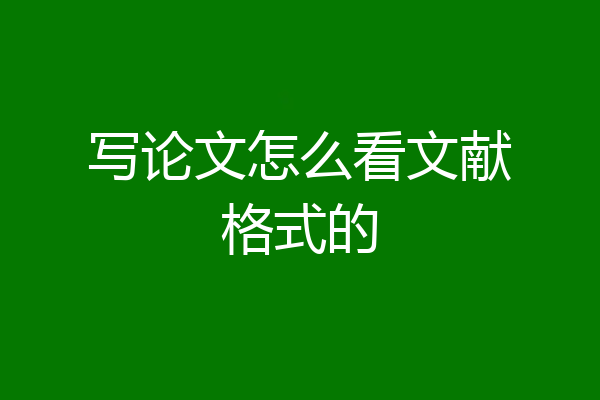 写论文怎么看文献格式的