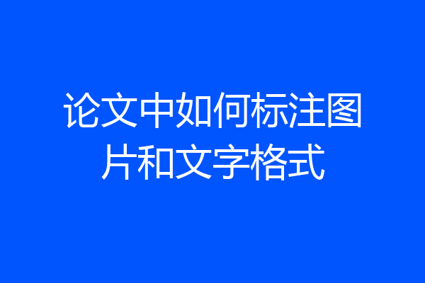 论文中如何标注图片和文字格式