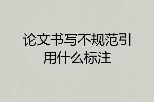 论文书写不规范引用什么标注