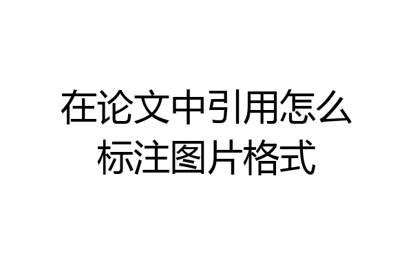 在论文中引用怎么标注图片格式